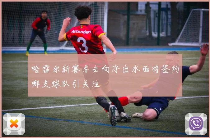 哈雷尔新赛季去向浮出水面将签约哪支球队引关注