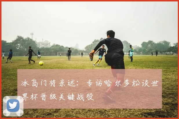 冰岛门将亲述：专访哈尔多松谈世界杯晋级关键战役