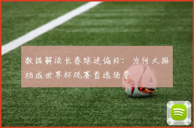 数据解读长春球迷偏好：为何大排档成世界杯观赛首选场景