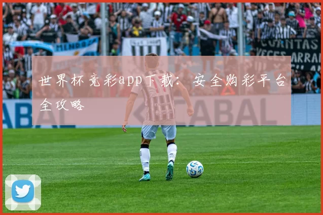 世界杯竞彩app下载：安全购彩平台全攻略