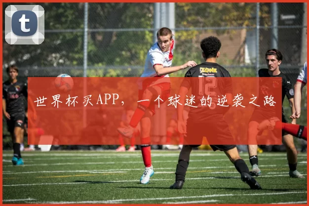 世界杯买APP，一个球迷的逆袭之路