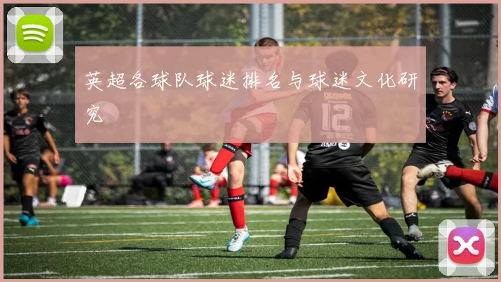 英超各球队球迷排名与球迷文化研究