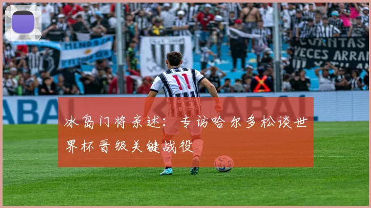 冰岛门将亲述：专访哈尔多松谈世界杯晋级关键战役