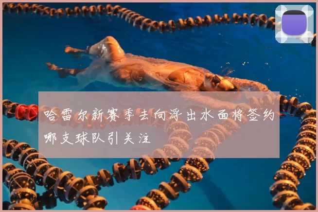 哈雷尔新赛季去向浮出水面将签约哪支球队引关注