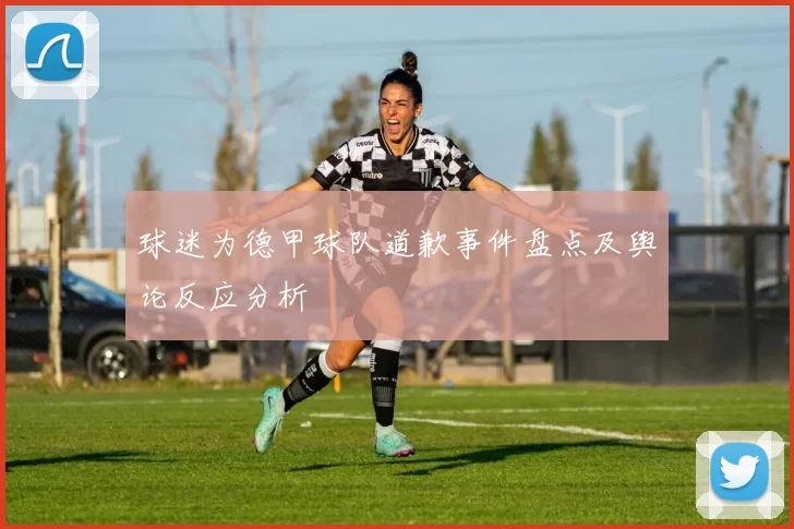 球迷为德甲球队道歉事件盘点及舆论反应分析