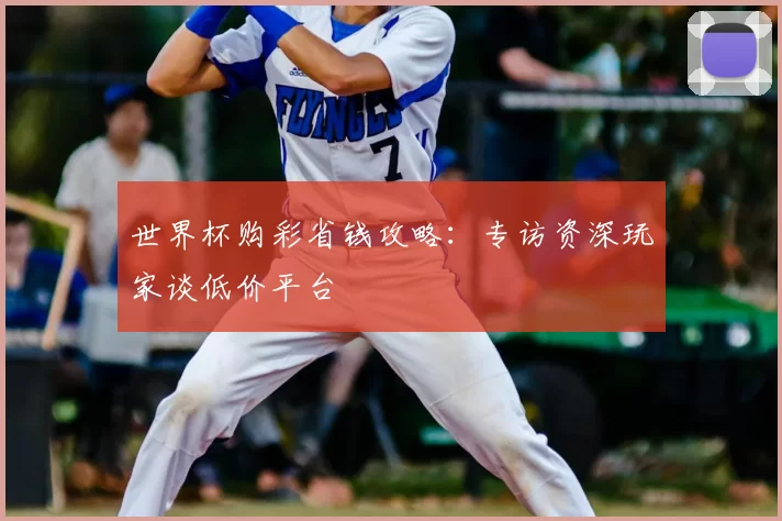 世界杯购彩省钱攻略：专访资深玩家谈低价平台