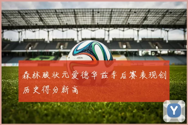森林狼状元爱德华兹季后赛表现创历史得分新高