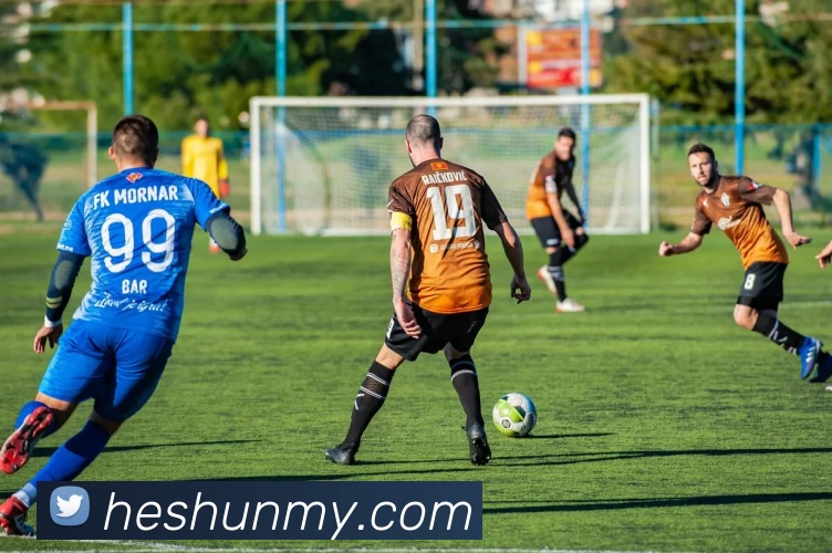 华体官网登录平台生态图